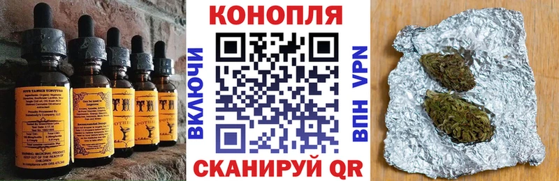 как найти наркотики  Суджа  Печенье с ТГК конопля 