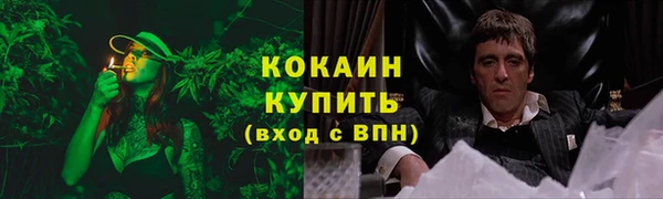 МДПВ Козельск