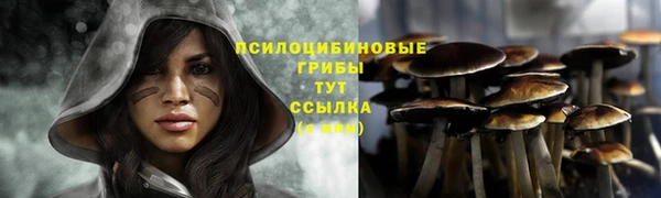 индика Корсаков