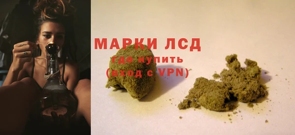 индика Корсаков