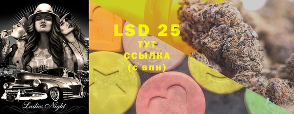 индика Корсаков