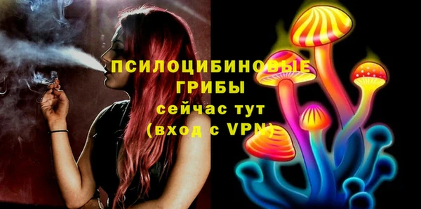 синтетический гашиш Костерёво