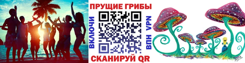 MEGA   Суджа  Галлюциногенные грибы MAGIC MUSHROOMS 