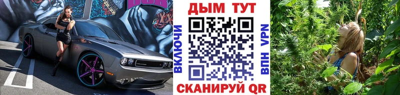 закладки Суджа Марихуана тримм